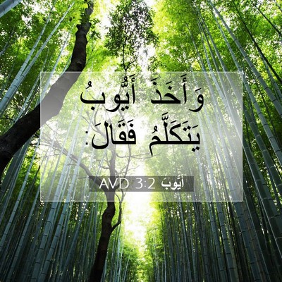 Picture 07 - أَيُّوبَ 3:2 AVD - وَأَخَذَ أَيُّوبُ - Bible Verse Picture