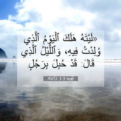 Picture 07 - أَيُّوبَ 3:3 AVD - «لَيْتَهُ هَلَكَ - Bible Verse Picture