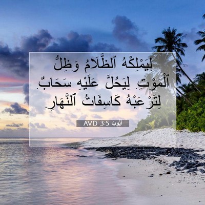 Picture 07 - أَيُّوبَ 3:5 AVD - لِيَمْلِكْهُ ٱلظَّلَامُ - Bible Verse Picture