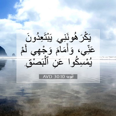 Picture 07 - أَيُّوبَ 30:10 AVD - يَكْرَهُونَنِي. - Bible Verse Picture