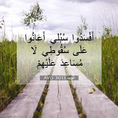 Picture 07 - أَيُّوبَ 30:13 AVD - أَفْسَدُوا سُبُلِي. - Bible Verse Picture