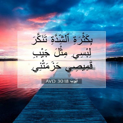 Picture 07 - أَيُّوبَ 30:18 AVD - بِكَثْرَةِ ٱلشِّدَّةِ - Bible Verse Picture