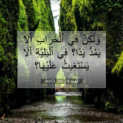 Picture 07 - أَيُّوبَ 30:24 AVD - وَلَكِنْ فِي ٱلْخَرَابِ - Bible Verse Picture