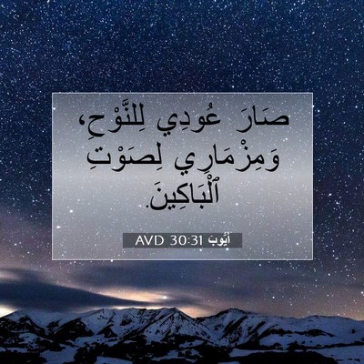 Picture 07 - أَيُّوبَ 30:31 AVD - صَارَ عُودِي لِلنَّوْحِ، - Bible Verse Picture