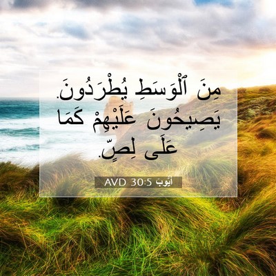 Picture 07 - أَيُّوبَ 30:5 AVD - مِنَ ٱلْوَسَطِ - Bible Verse Picture