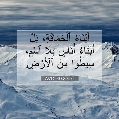 Picture 07 - أَيُّوبَ 30:8 AVD - أَبْنَاءُ ٱلْحَمَاقَةِ، - Bible Verse Picture
