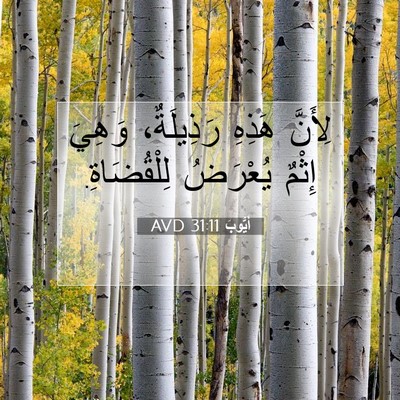 Picture 07 - أَيُّوبَ 31:11 AVD - لِأَنَّ هَذِهِ رَذِيلَةٌ، - Bible Verse Picture