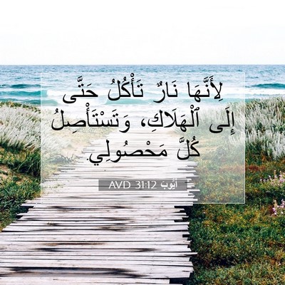 Picture 07 - أَيُّوبَ 31:12 AVD - لِأَنَّهَا نَارٌ تَأْكُلُ - Bible Verse Picture