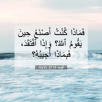 Picture 07 - أَيُّوبَ 31:14 AVD - فَمَاذَا كُنْتُ أَصْنَعُ - Bible Verse Picture