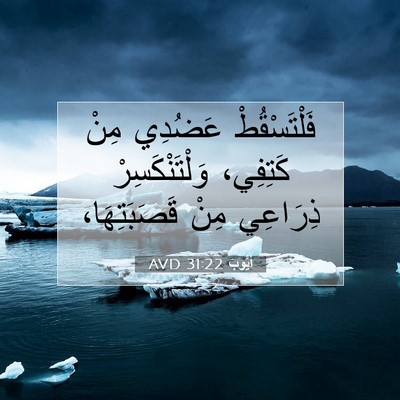 Picture 07 - أَيُّوبَ 31:22 AVD - فَلْتَسْقُطْ عَضُدِي مِنْ - Bible Verse Picture