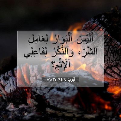 Picture 07 - أَيُّوبَ 31:3 AVD - أَلَيْسَ ٱلْبَوَارُ - Bible Verse Picture