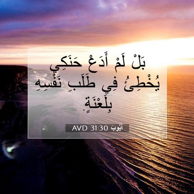 Picture 07 - أَيُّوبَ 31:30 AVD - بَلْ لَمْ أَدَعْ حَنَكِي - Bible Verse Picture
