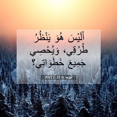 Picture 07 - أَيُّوبَ 31:4 AVD - أَلَيْسَ هُوَ يَنْظُرُ - Bible Verse Picture