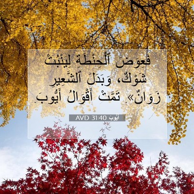 Picture 07 - أَيُّوبَ 31:40 AVD - فَعِوَضَ ٱلْحِنْطَةِ - Bible Verse Picture