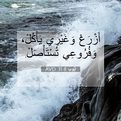 Picture 07 - أَيُّوبَ 31:8 AVD - أَزْرَعْ وَغَيْرِي - Bible Verse Picture
