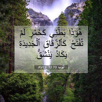 Picture 07 - أَيُّوبَ 32:19 AVD - هُوَذَا بَطْنِي كَخَمْرٍ - Bible Verse Picture