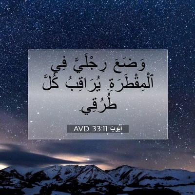 Picture 07 - أَيُّوبَ 33:11 AVD - وَضَعَ رِجْلَيَّ فِي - Bible Verse Picture