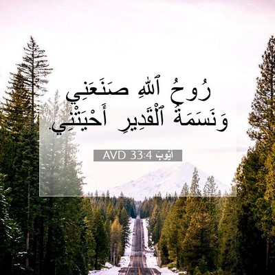 Picture 07 - أَيُّوبَ 33:4 AVD - رُوحُ ٱللهِ صَنَعَنِي - Bible Verse Picture