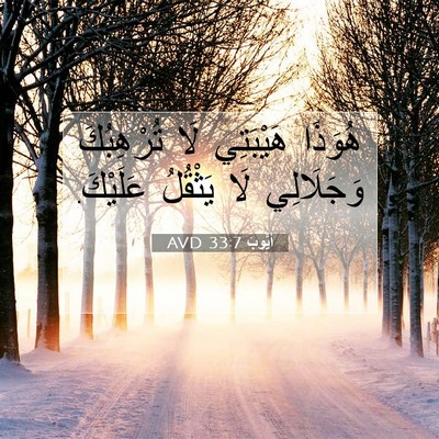 Picture 07 - أَيُّوبَ 33:7 AVD - هُوَذَا هَيْبَتِي لَا - Bible Verse Picture