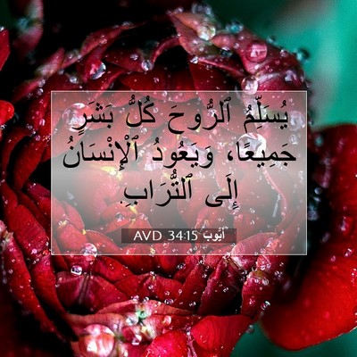 Picture 07 - أَيُّوبَ 34:15 AVD - يُسَلِّمُ ٱلرُّوحَ كُلُّ - Bible Verse Picture