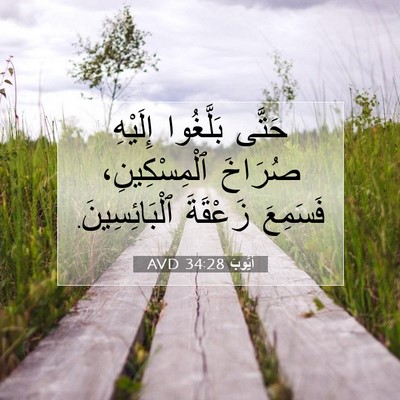 Picture 07 - أَيُّوبَ 34:28 AVD - حَتَّى بَلَّغُوا إِلَيْهِ - Bible Verse Picture