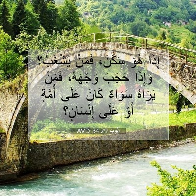 Picture 07 - أَيُّوبَ 34:29 AVD - إِذَا هُوَ سَكَّنَ، فَمَنْ - Bible Verse Picture