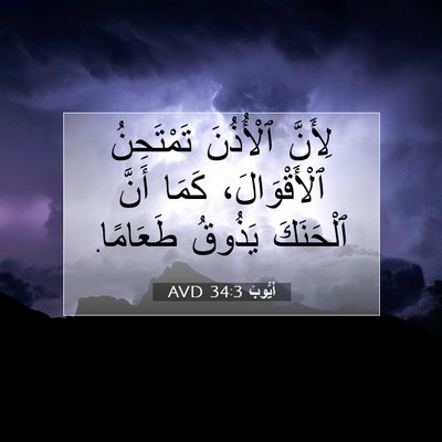 Picture 07 - أَيُّوبَ 34:3 AVD - لِأَنَّ ٱلْأُذُنَ - Bible Verse Picture
