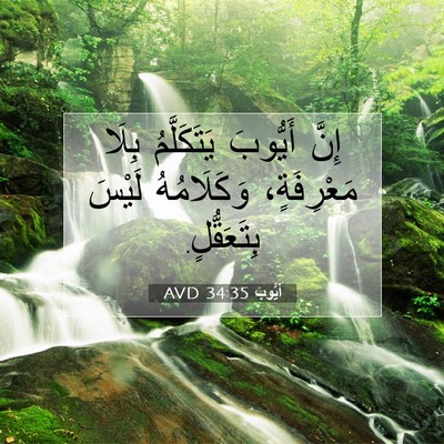 Picture 07 - أَيُّوبَ 34:35 AVD - إِنَّ أَيُّوبَ - Bible Verse Picture