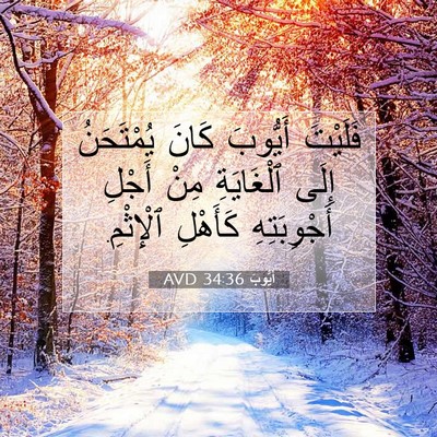 Picture 07 - أَيُّوبَ 34:36 AVD - فَلَيْتَ أَيُّوبَ كَانَ - Bible Verse Picture