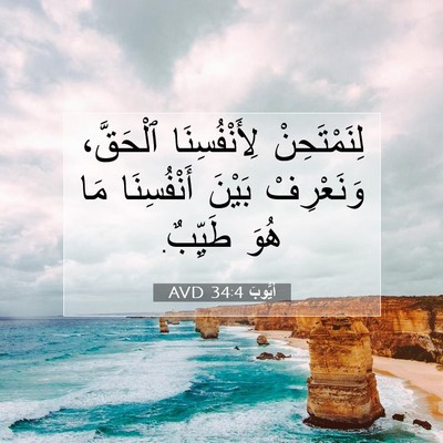 Picture 07 - أَيُّوبَ 34:4 AVD - لِنَمْتَحِنْ - Bible Verse Picture
