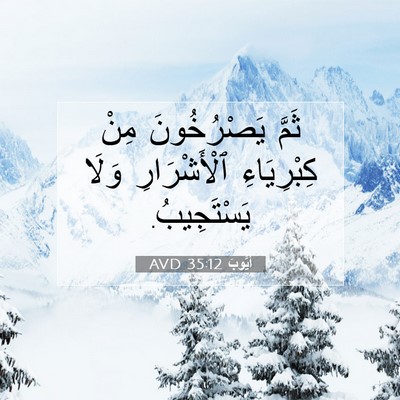 Picture 07 - أَيُّوبَ 35:12 AVD - ثَمَّ يَصْرُخُونَ مِنْ - Bible Verse Picture