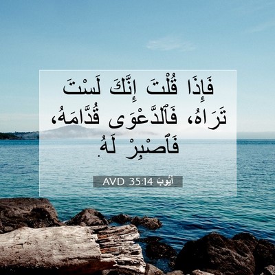 Picture 07 - أَيُّوبَ 35:14 AVD - فَإِذَا قُلْتَ إِنَّكَ - Bible Verse Picture