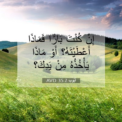 Picture 07 - أَيُّوبَ 35:7 AVD - إِنْ كُنْتَ بَارًّا - Bible Verse Picture