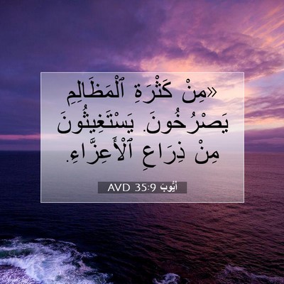 Picture 07 - أَيُّوبَ 35:9 AVD - «مِنْ كَثْرَةِ - Bible Verse Picture