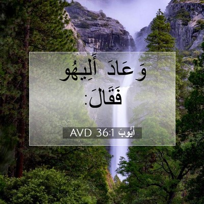 Picture 07 - أَيُّوبَ 36:1 AVD - وَعَادَ أَلِيهُو - Bible Verse Picture