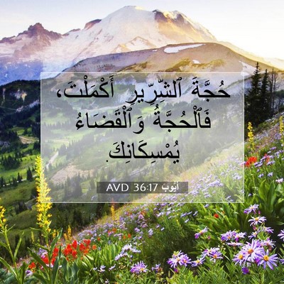 Picture 07 - أَيُّوبَ 36:17 AVD - حُجَّةَ ٱلشِّرِّيرِ - Bible Verse Picture