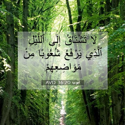 Picture 07 - أَيُّوبَ 36:20 AVD - لَا تَشْتَاقُ إِلَى - Bible Verse Picture