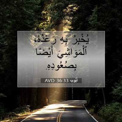 Picture 07 - أَيُّوبَ 36:33 AVD - يُخْبِرُ بِهِ رَعْدُهُ، - Bible Verse Picture
