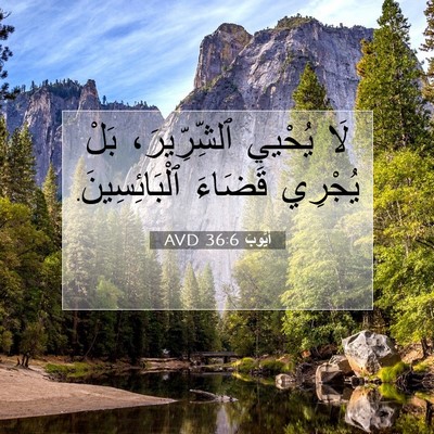 Picture 07 - أَيُّوبَ 36:6 AVD - لَا يُحْيي ٱلشِّرِّيرَ، - Bible Verse Picture