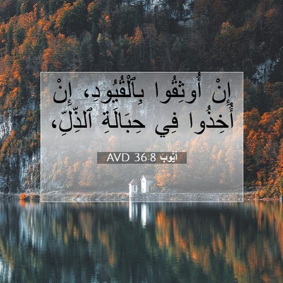 Picture 07 - أَيُّوبَ 36:8 AVD - إِنْ أُوثِقُوا - Bible Verse Picture