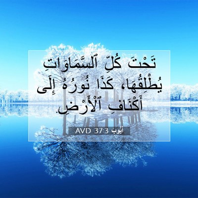 Picture 07 - أَيُّوبَ 37:3 AVD - تَحْتَ كُلِّ - Bible Verse Picture