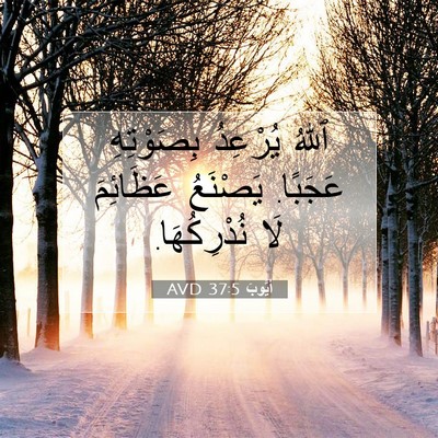 Picture 07 - أَيُّوبَ 37:5 AVD - ٱللهُ يُرْعِدُ بِصَوْتِهِ - Bible Verse Picture