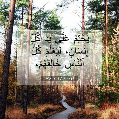Picture 07 - أَيُّوبَ 37:7 AVD - يَخْتِمُ عَلَى يَدِ كُلِّ - Bible Verse Picture