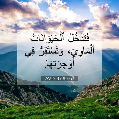 Picture 07 - أَيُّوبَ 37:8 AVD - فَتَدْخُلُ - Bible Verse Picture