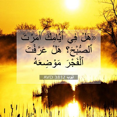 Picture 07 - أَيُّوبَ 38:12 AVD - «هَلْ فِي أَيَّامِكَ - Bible Verse Picture
