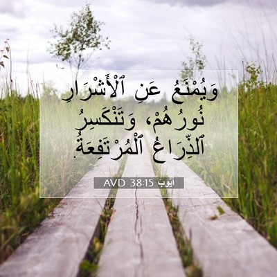 Picture 07 - أَيُّوبَ 38:15 AVD - وَيُمْنَعُ عَنِ - Bible Verse Picture