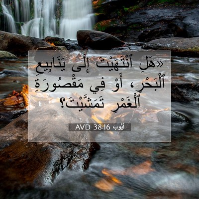 Picture 07 - أَيُّوبَ 38:16 AVD - «هَلِ ٱنْتَهَيْتَ إِلَى - Bible Verse Picture