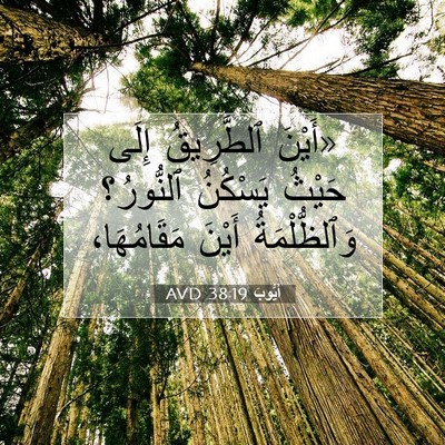 Picture 07 - أَيُّوبَ 38:19 AVD - «أَيْنَ ٱلطَّرِيقُ إِلَى - Bible Verse Picture