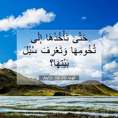 Picture 07 - أَيُّوبَ 38:20 AVD - حَتَّى تَأْخُذَهَا إِلَى - Bible Verse Picture