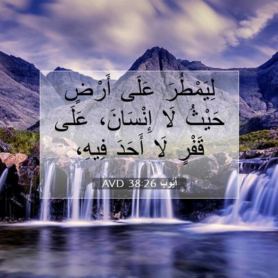 Picture 07 - أَيُّوبَ 38:26 AVD - لِيَمْطُرَ عَلَى أَرْضٍ - Bible Verse Picture